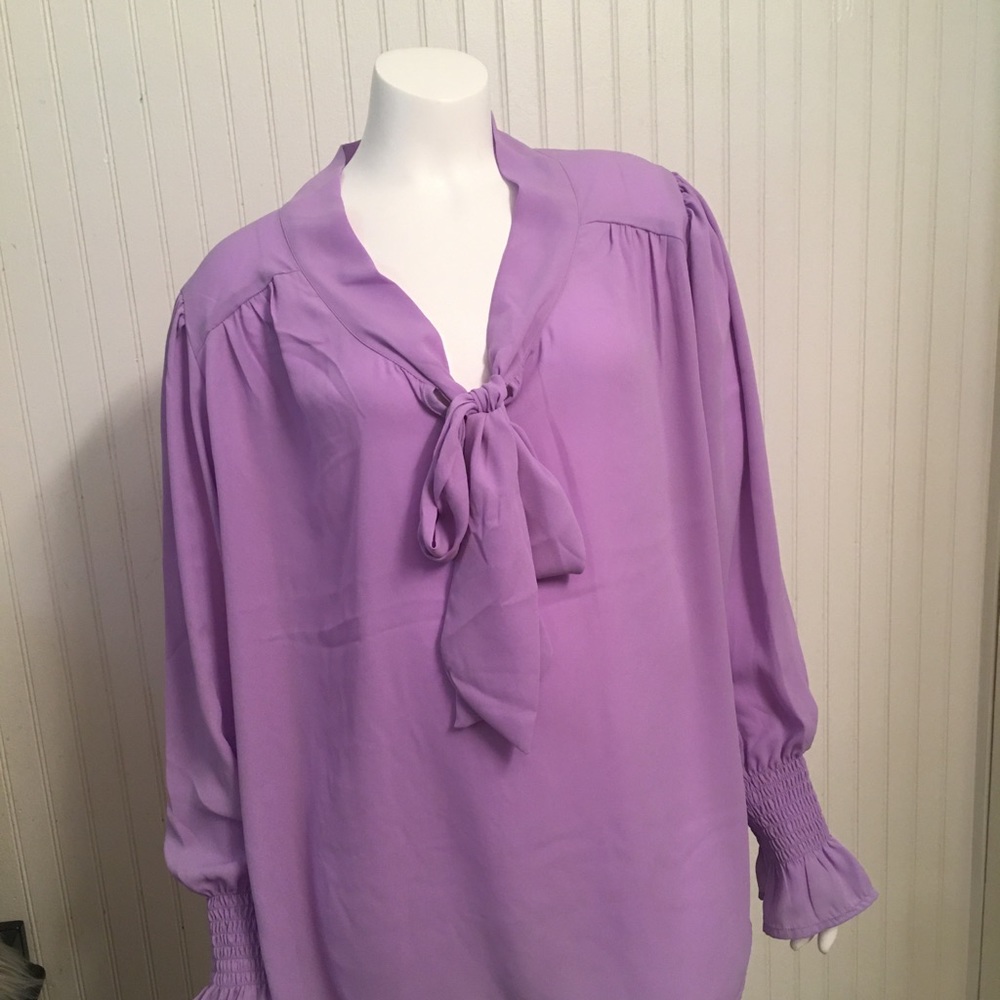 Sheer purple Blouse